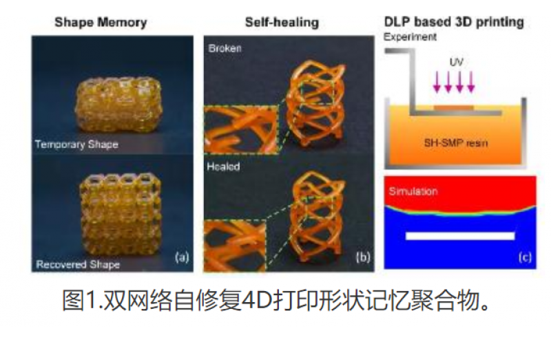 雙網(wǎng)絡(luò)自修復(fù)4D打印形狀記憶聚合物